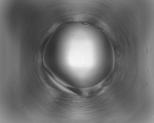 X0000071970164200607212327