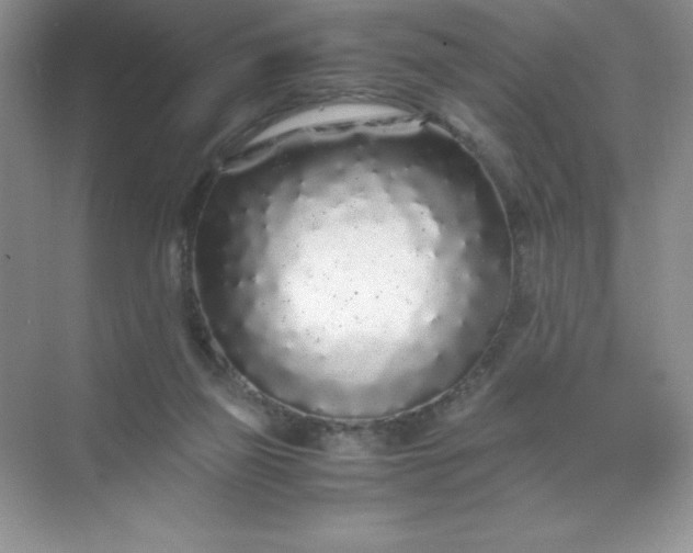 X0000071970165200607212327