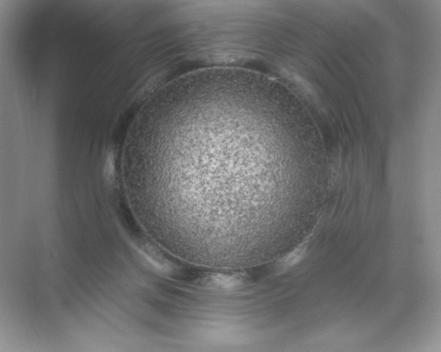 X0000071970166200607212327