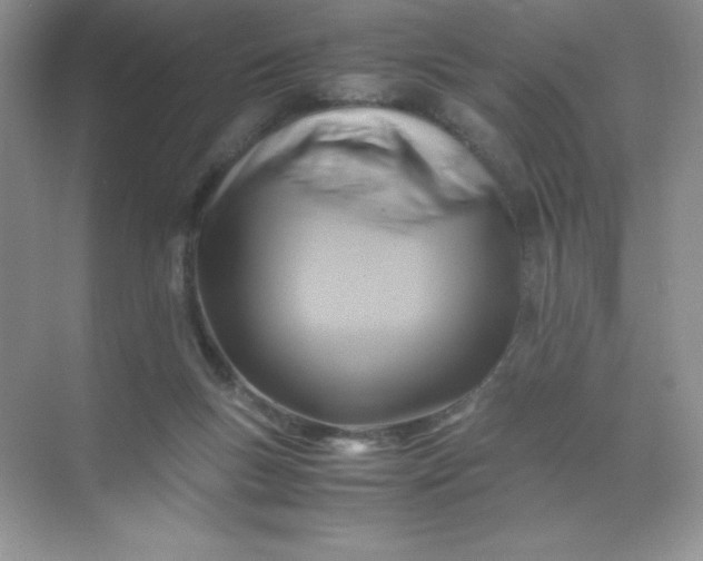 X0000071970167200607212327