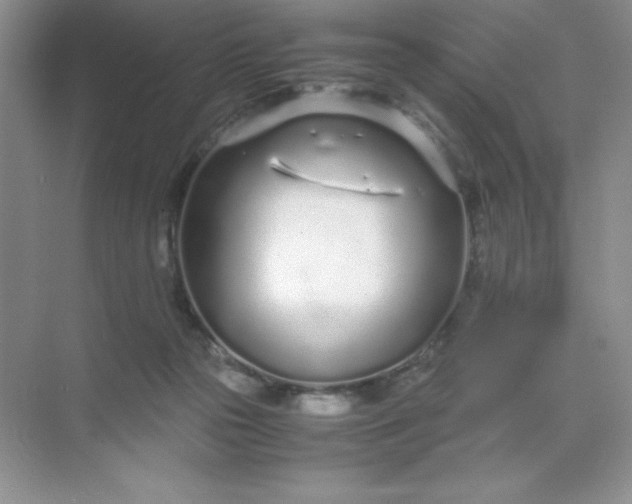 X0000071970169200607212327