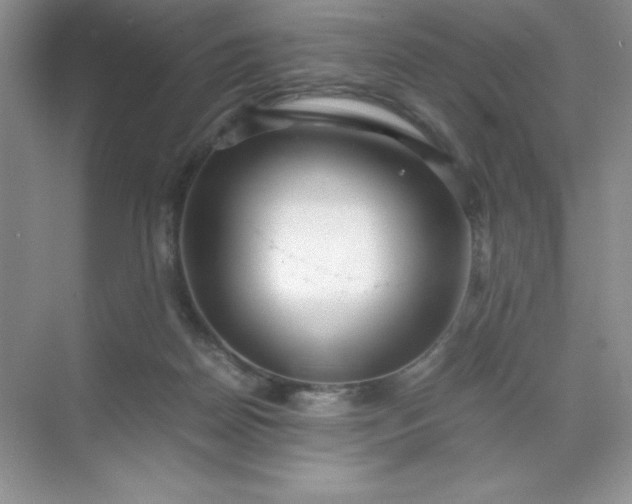 X0000071970170200607212327