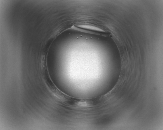 X0000071970171200607212327