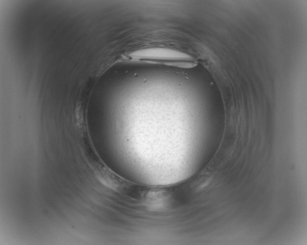 X0000071970173200607212327