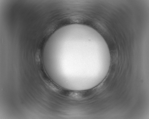 X0000071970174200607212327