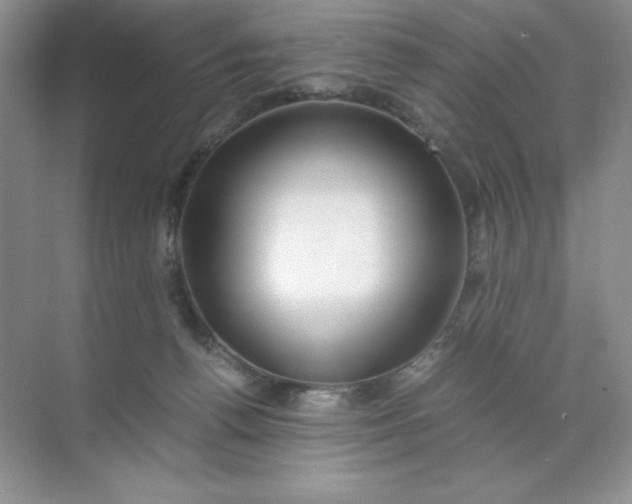 X0000071970176200607212327