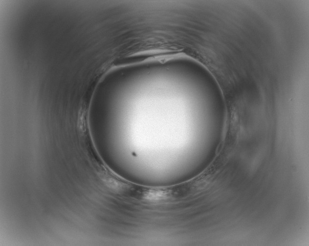 X0000071970177200607212327