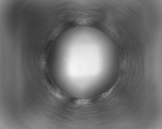 X0000071970179200607212327