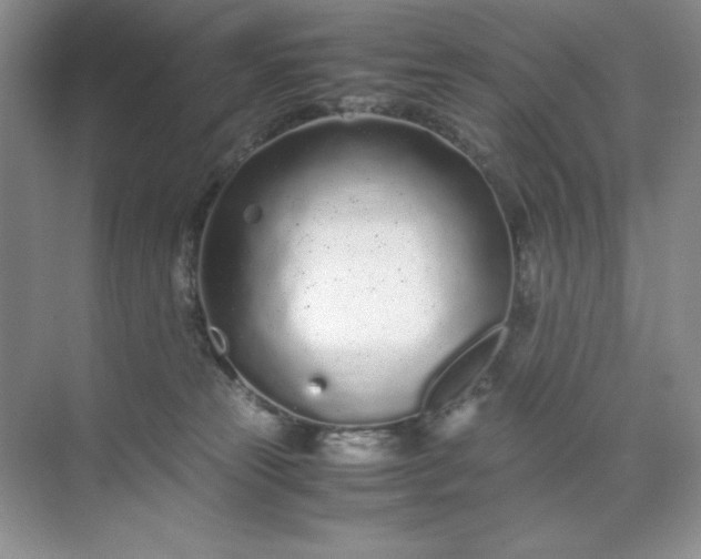 X0000071970181200607212327