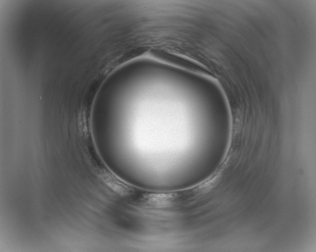 X0000071970182200607212327