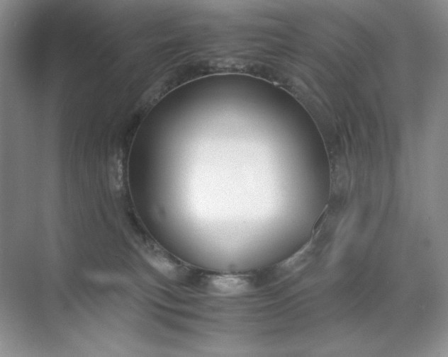 X0000071970183200607212328