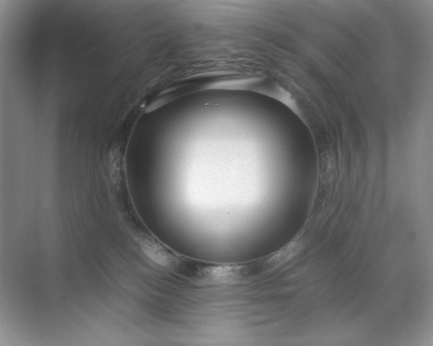 X0000071970184200607212328