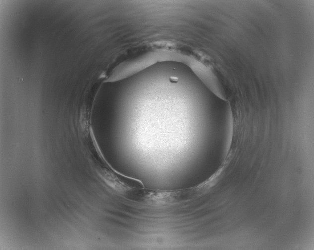 X0000071970186200607212328