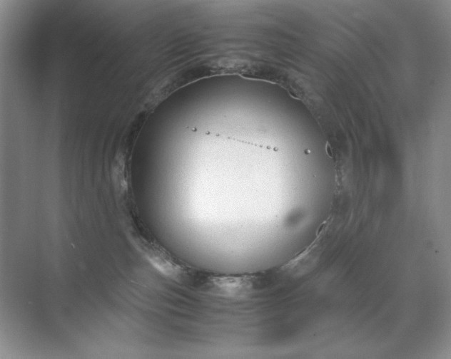 X0000071970187200607212328