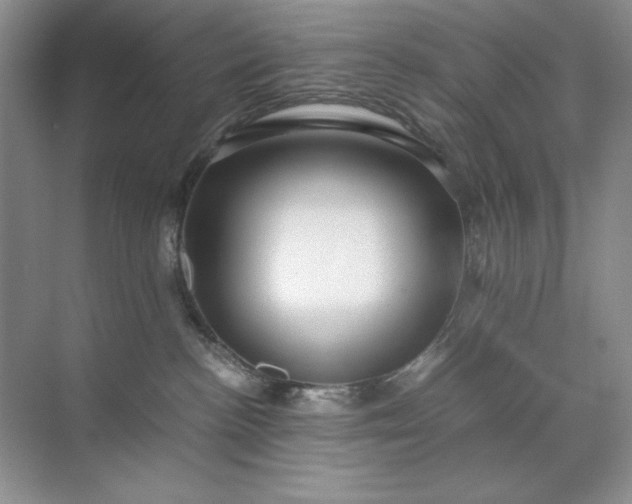 X0000071970188200607212328