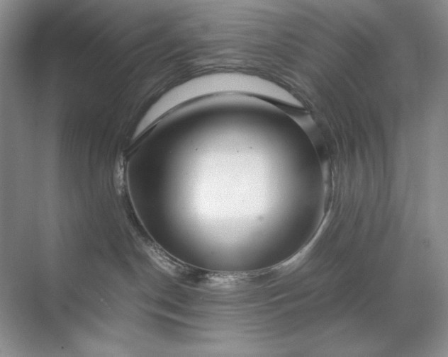 X0000071970190200607212328