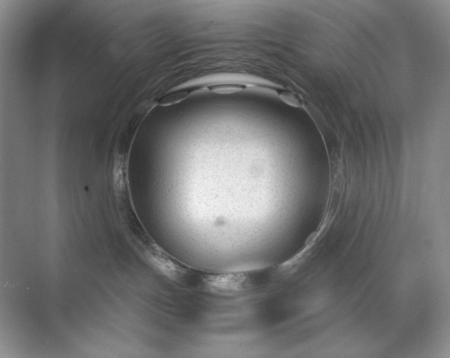 X0000071970191200607212328