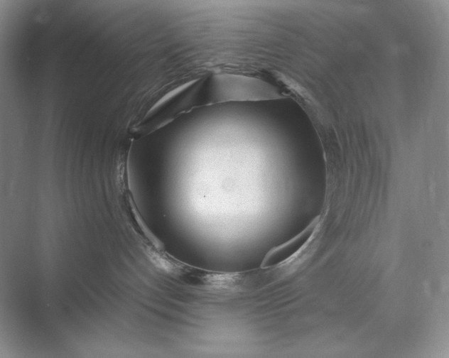 X0000071970192200607212328