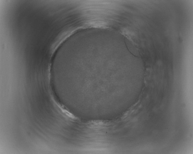 X0000071970194200607212327