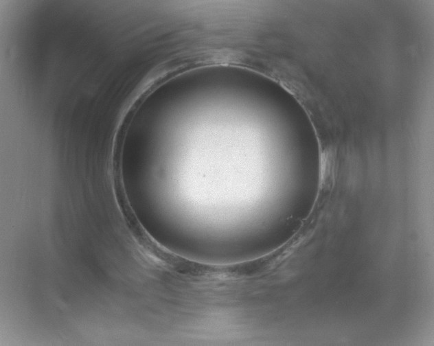 X0000071970195200607212327