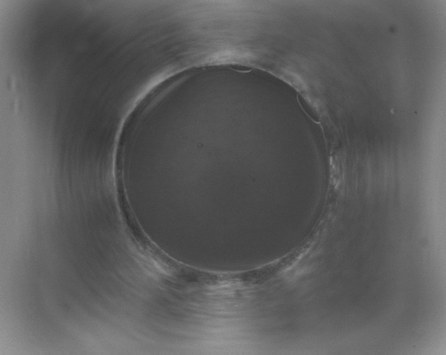 X0000071970196200607212327