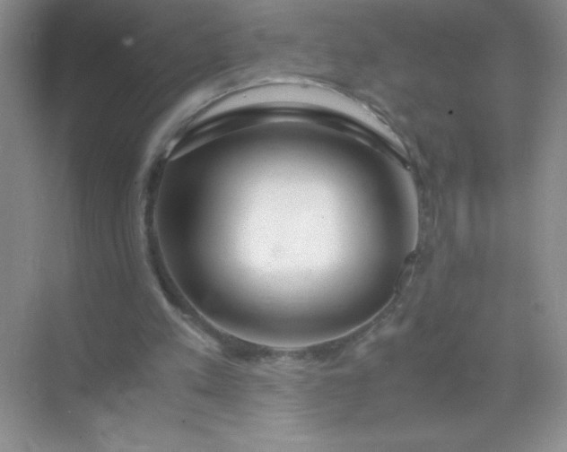 X0000071970197200607212327