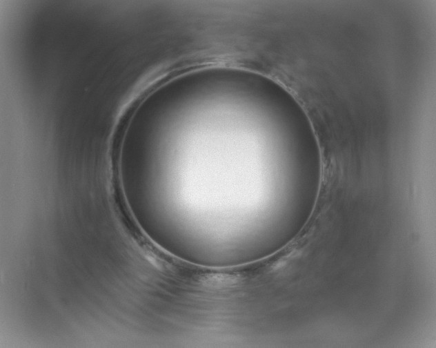 X0000071970198200607212327