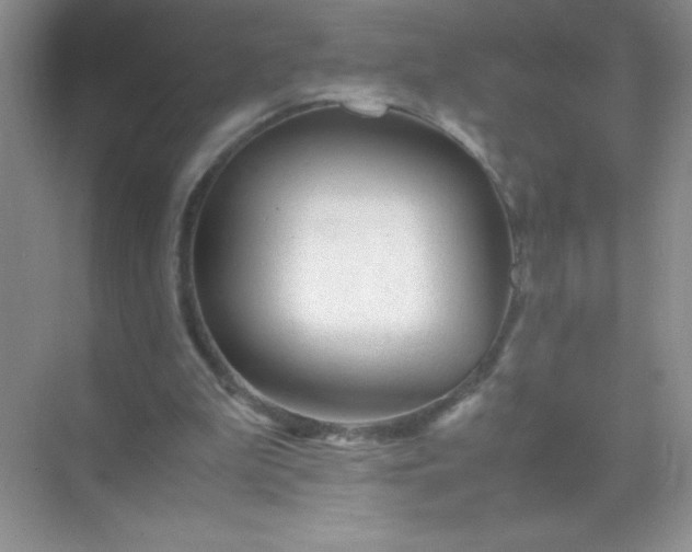 X0000071970199200607212327