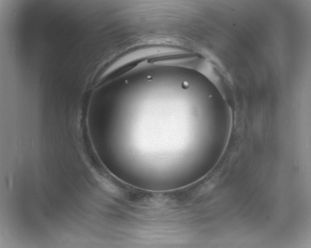 X0000071970201200607212327