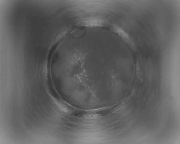 X0000071970202200607212327