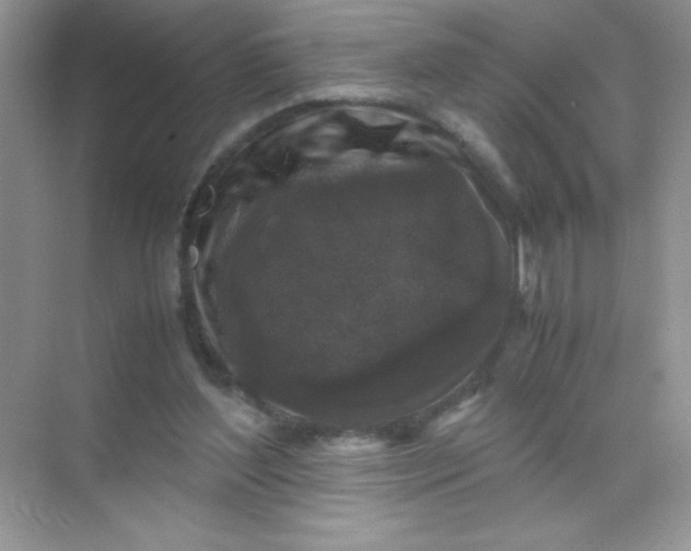 X0000071970204200607212327