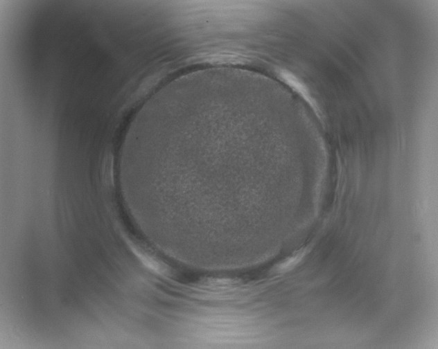 X0000071970205200607212327