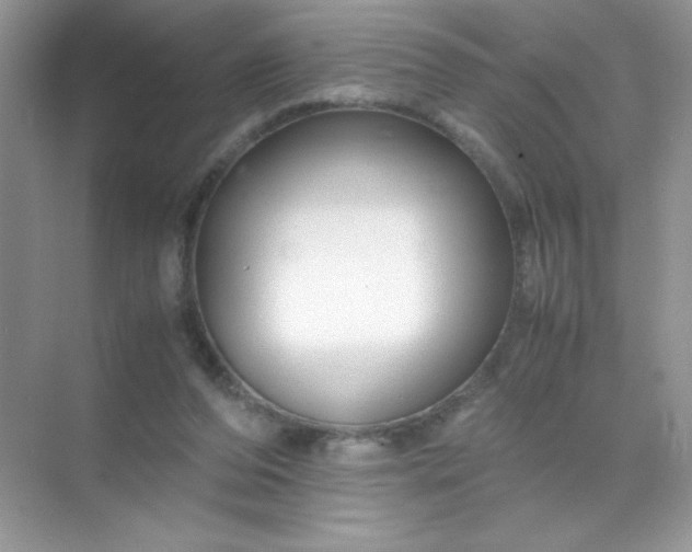 X0000071970208200607212327