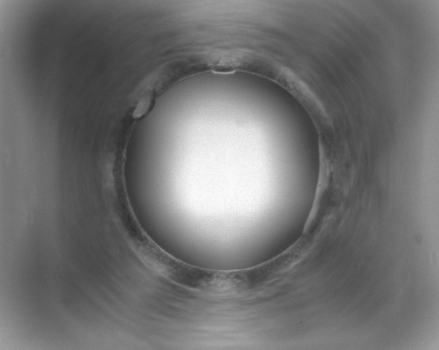 X0000071970209200607212327