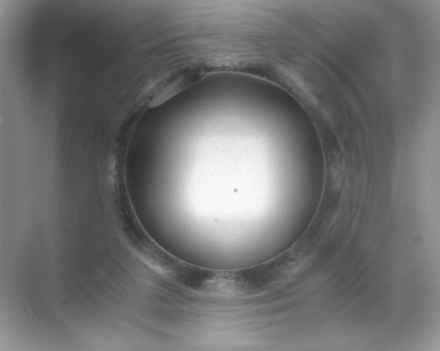 X0000071970211200607212327