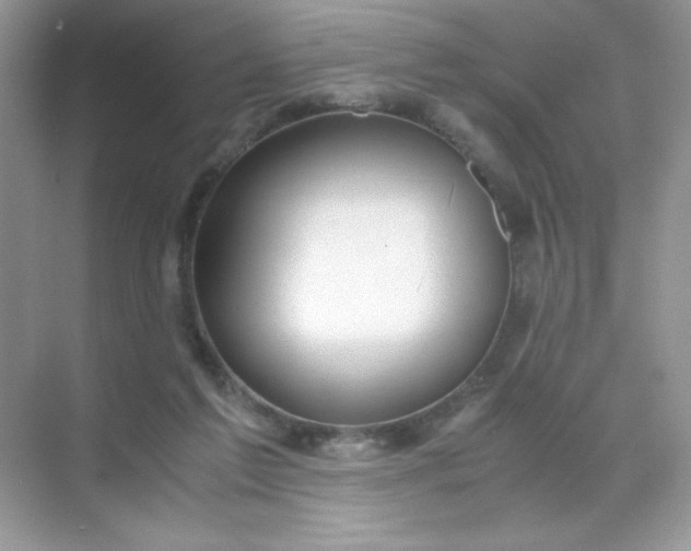 X0000071970213200607212327