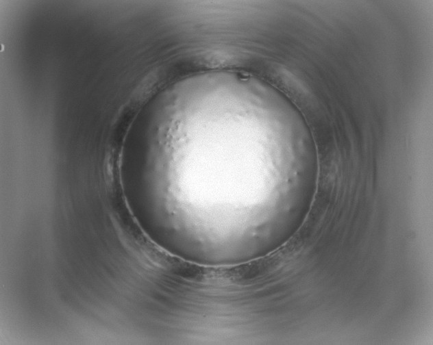 X0000071970214200607212326