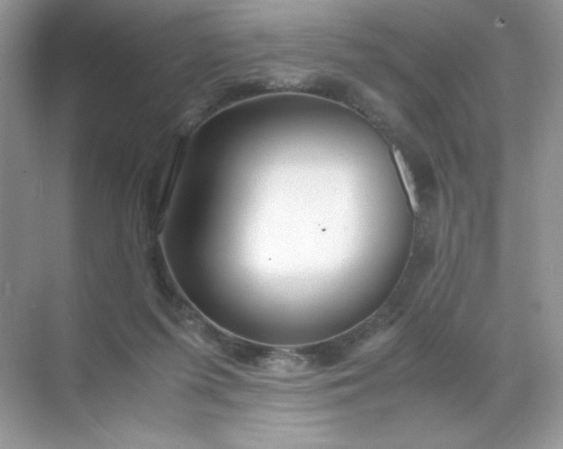 X0000071970215200607212326