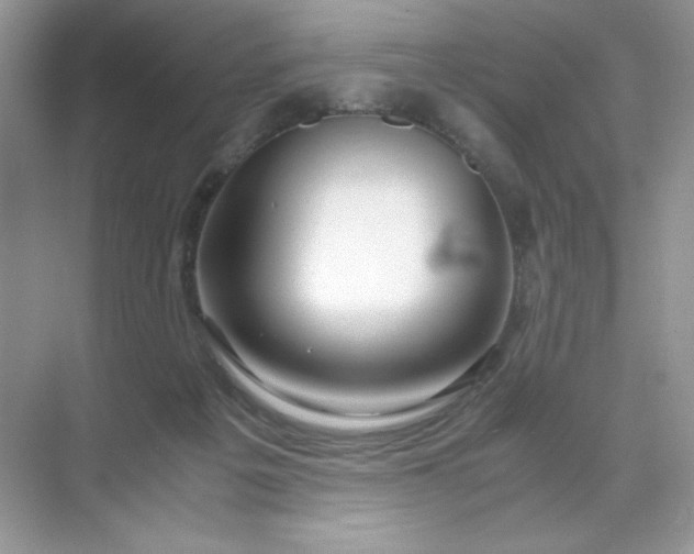 X0000071970217200607212326