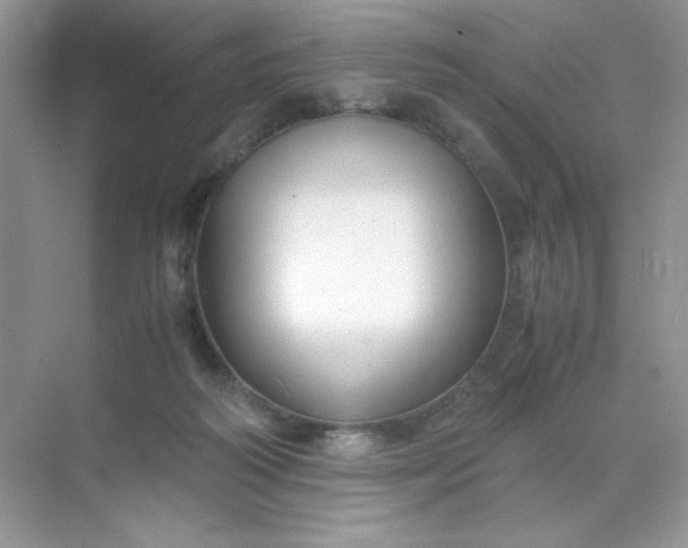 X0000071970218200607212326