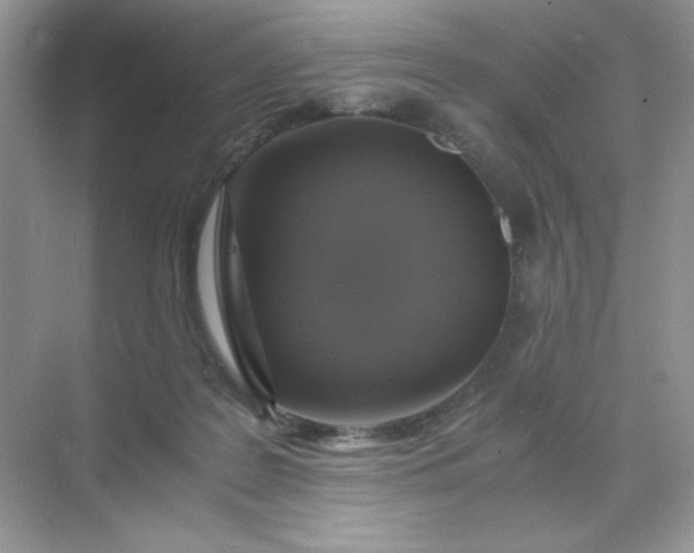 X0000071970219200607212326