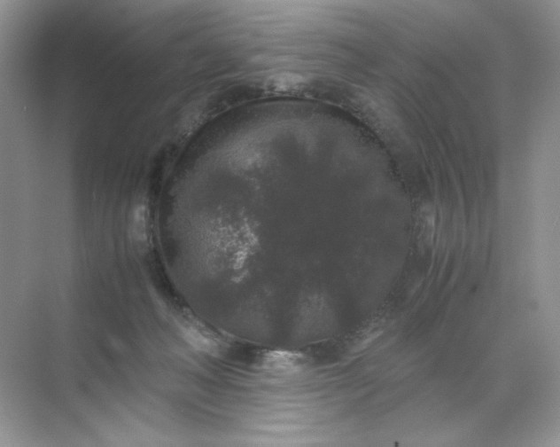 X0000071970222200607212326