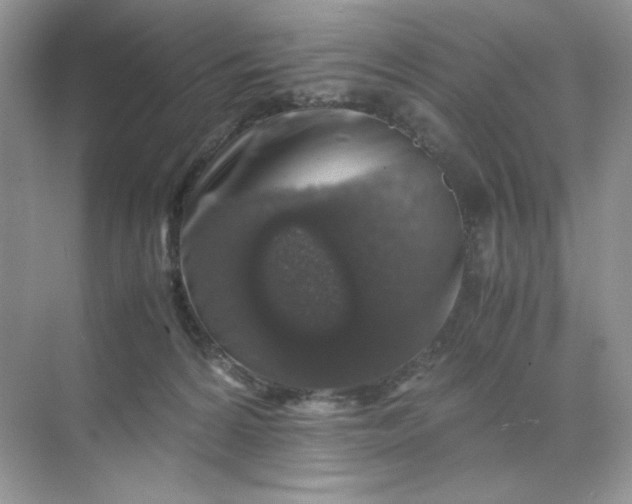 X0000071970224200607212326