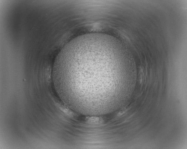 X0000071970230200607212326