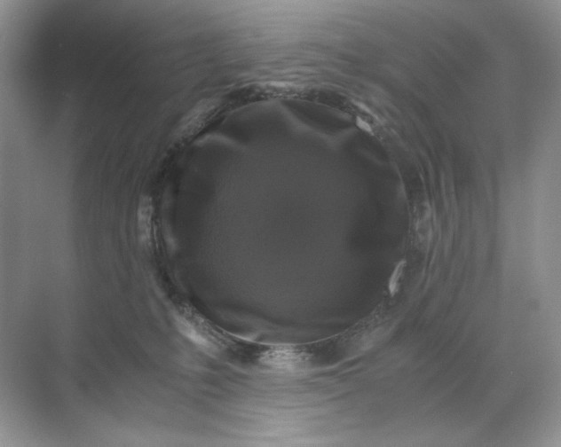 X0000071970231200607212326