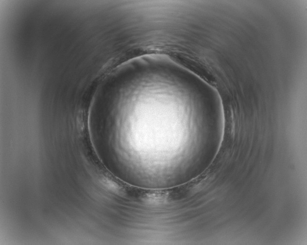 X0000071970232200607212326