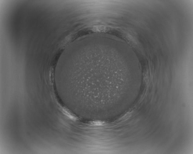 X0000071970233200607212326