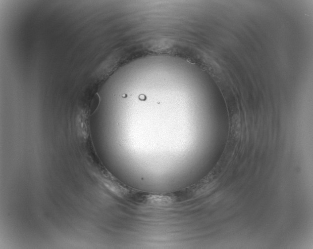 X0000071970234200607212326