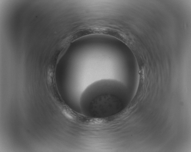 X0000071970235200607212326