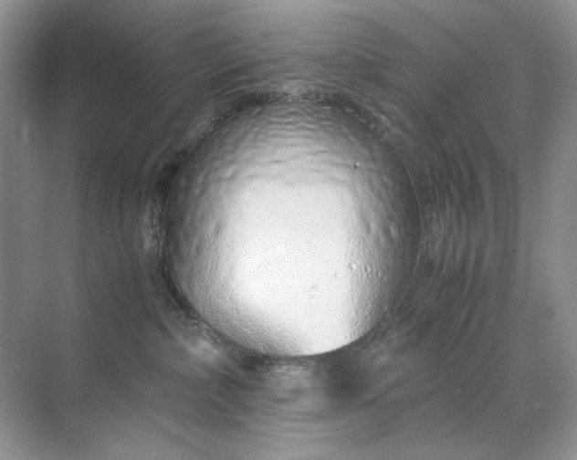 X0000071970236200607212326